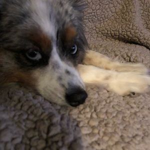 Meet your Posher, Angelia